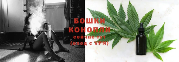 гидропоника Каменногорск