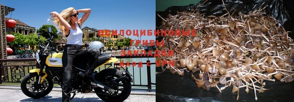 гидропоника Каменногорск