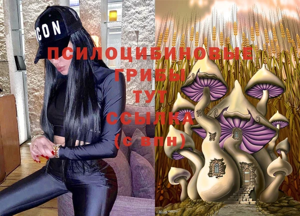 гидропоника Каменногорск